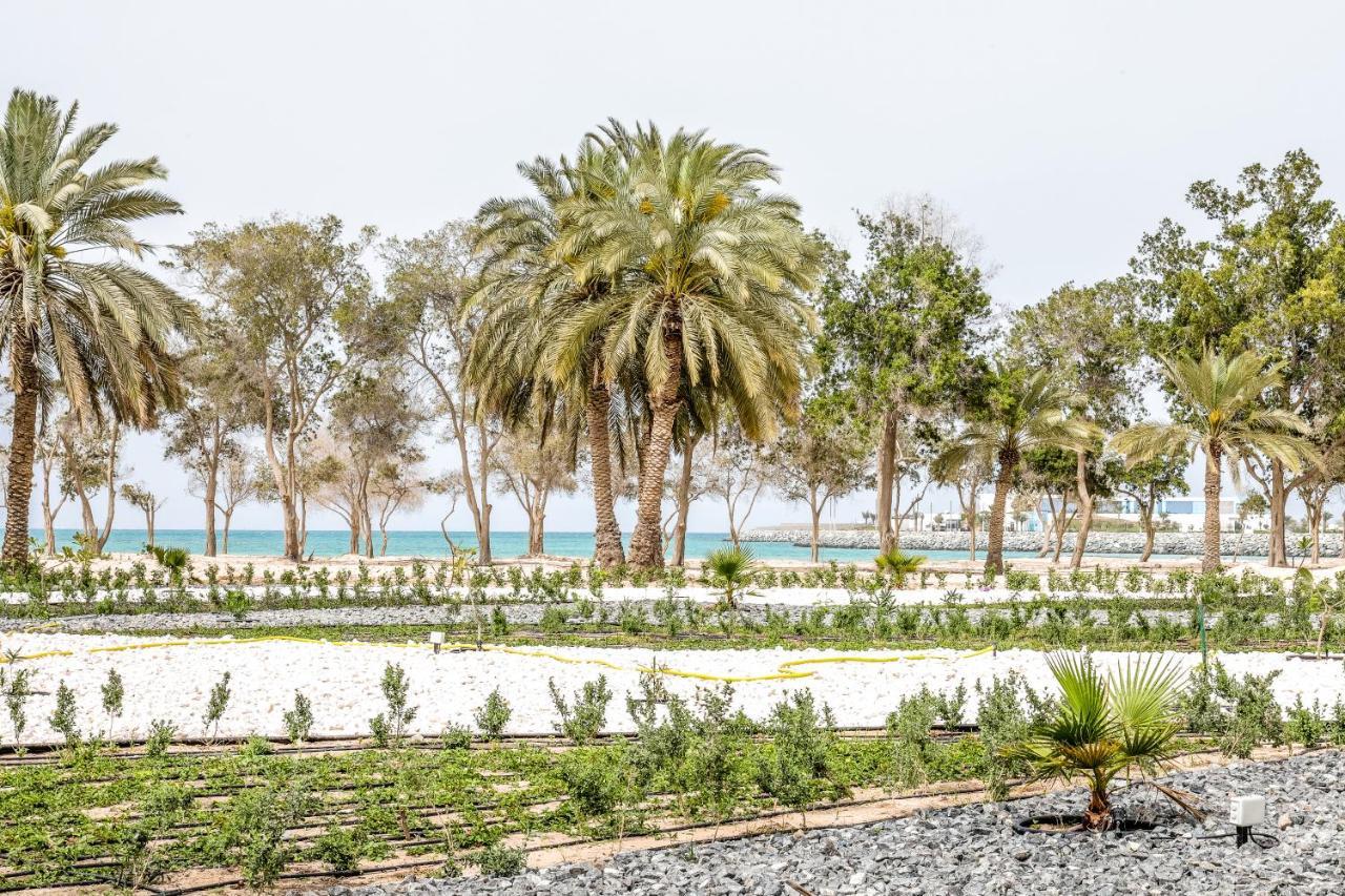 Dhafra Beach Hotel Джебел-Данна Экстерьер фото